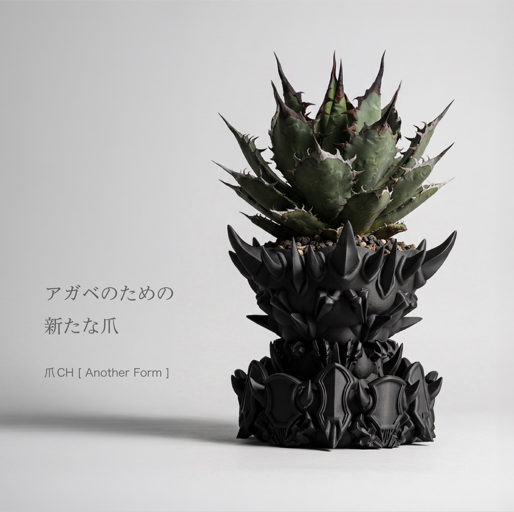 アガベ・塊根植物向け 高排水モデル一覧
